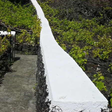 Adega Ilheu 度假居