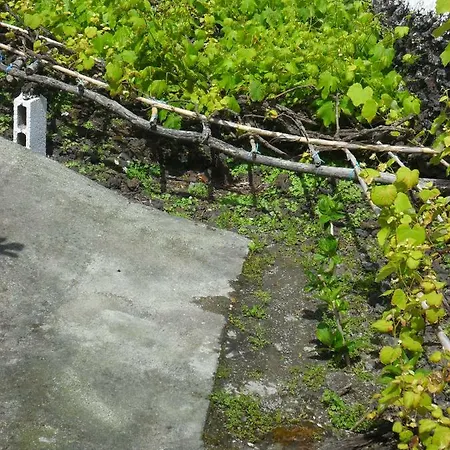 Adega Ilheu Feteira (Terceira)