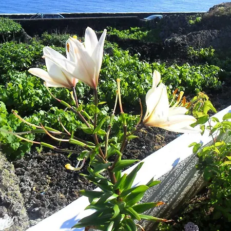 Adega Ilheu Dom wakacyjny *