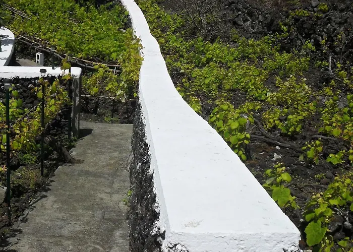 Adega Ilheu Casa de Férias