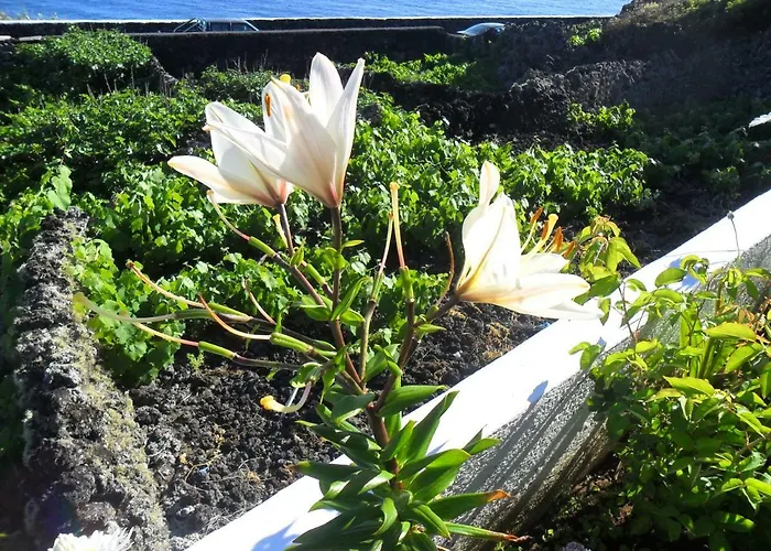 Adega Ilheu Casa de Férias *